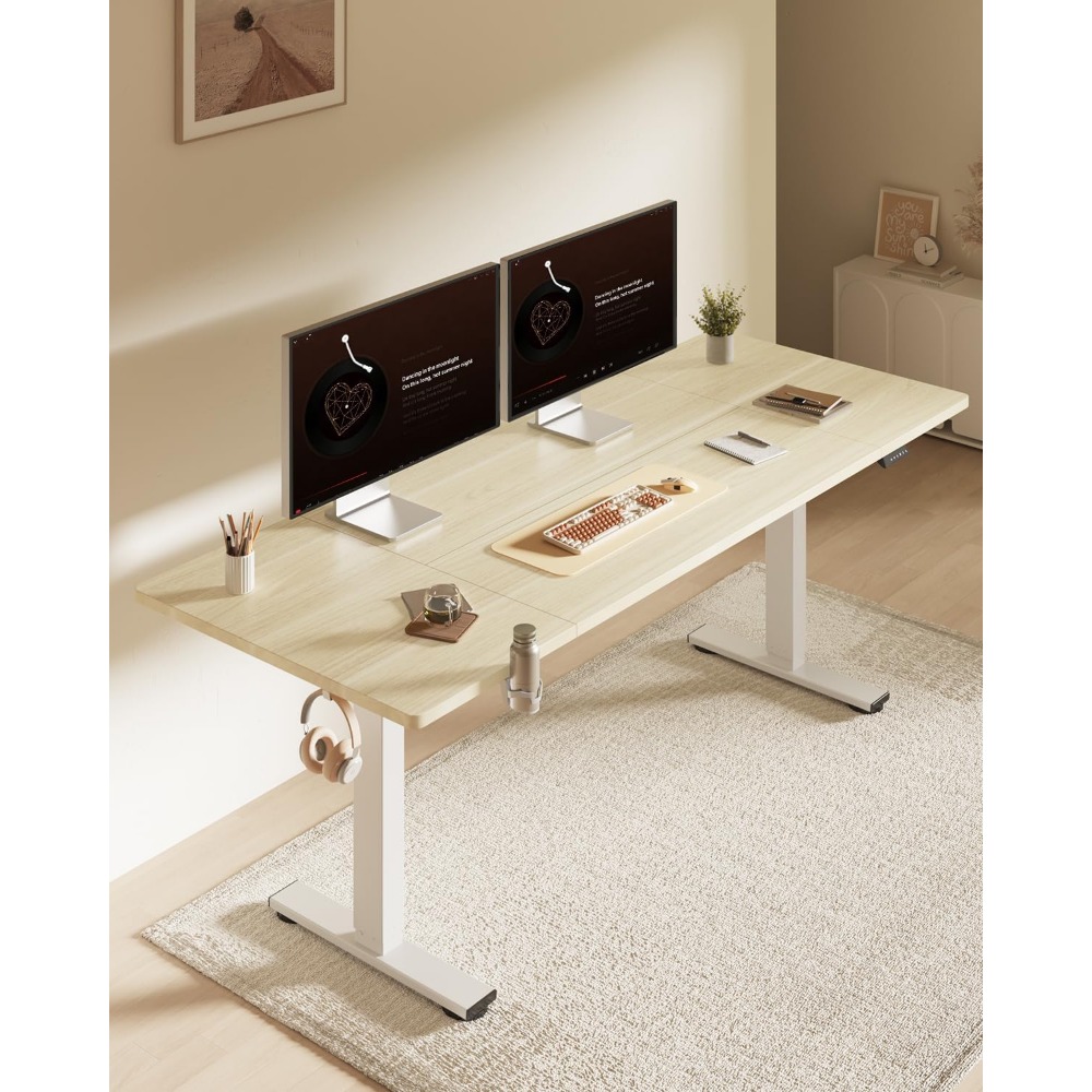 FLEXISPOT โต๊ะยืนไฟฟ้าขนาด 63x - Desk Setup White บทวิจารณ์และราคา