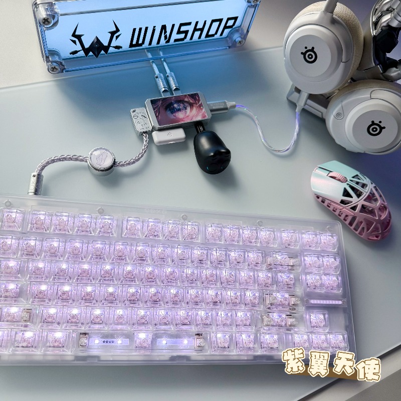 WINSHOP Esports HUB Dual-In 4- - Desk Setup Aesthetic บทวิจารณ์และราคา